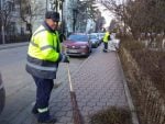 curățenie salubrizare trotuare străzi (8)
