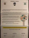deșeuri harșovschi (3)