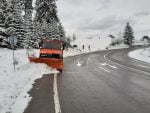 deszăpezire dn 17 tihuța