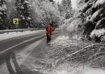 trafic iarna (1)