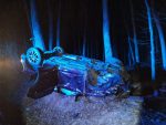 accident adâncata mașină auto răsturnată (5)