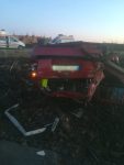 accident arbore (1)