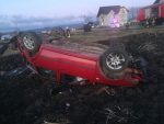 accident arbore (2)