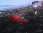 accident arbore (3)