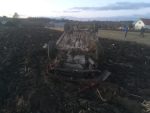 accident arbore (4)