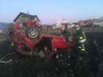 accident arbore (5)