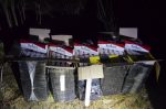 contrabandă țigări (3)