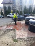 deșeuri gunoi dezinfecție (9)