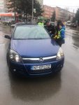 flori 8 martie (10)