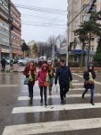 flori 8 martie (20)