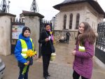flori 8 martie (6)
