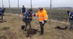 flutur plantare (2)