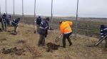 flutur plantare (3)