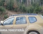 garda forestieră