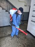 dezinfecție suceava stradă scări de bloc (6)