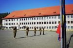 drapele nato militari (2)