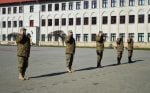 drapele nato militari (3)