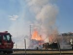 incendiu dorna candrenilor (2)