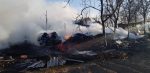 incendiu vegetatie uscata probota (12)
