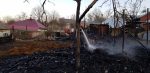 incendiu vegetatie uscata probota (6)