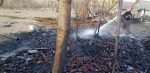 incendiu vegetatie uscata probota (8)