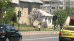 la furat de liliac catedrala marasesti
