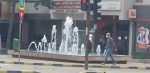 suceava lalele strazi centru (1)