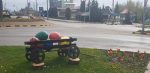 suceava lalele strazi centru (8)