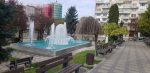suceava lalele strazi centru (9)