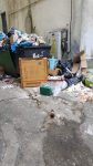 containere deșeuri (11)