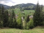 peisaj munte brad turism fundu moldovei (2)