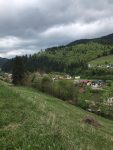 peisaj munte brad turism fundu moldovei (4)