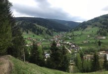 Foaie Verde din Bucovina, atenționează situația zonei de munte din județ se agravează: Muntenii au un mare bun-simț și nu cer nimic gratis, nu țipă, nu ies în stradă, iar pentru asta statul român se face că nu-i vede.