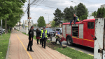 plantare flori suceava