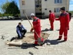zona anl parcare strada (4)