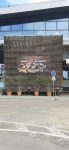 aviație elicopter militar (4)