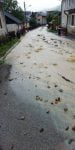 inundatii (3)