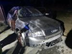 accident noaptea arbore (1)