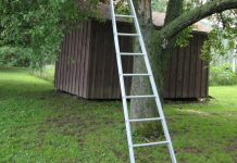 Bărbat de 68 de ani, rănit grav după ce a căzut de pe o scară în timp ce culegea struguri, la Plopeni