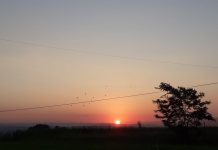 Vreme călduroasă și instabilitate atmosferică în majoritatea regiunilor. Cod galben de averse torențiale în zona de munte a județului Suceava