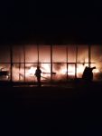 incendiu noaptea sadova (1)
