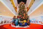 Iulius Mall Suceava 01