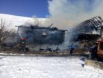 incendiu argel (3)