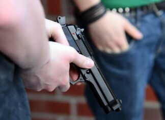 Incident cu armă airsoft în Chilișeni: un tânăr a tras spre câini pentru a-i speria