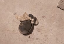 Grenadă din al Doilea Război Mondial, descoperită de noul proprietar în timpul lucrărilor de renovare în podul casei din Rădășeni