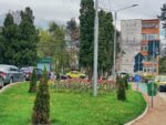 flori (2)