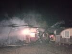 incendiu noaptea fetesti (1)