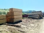 lemn buștean cherestea (3)