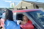 vaccinare (2)