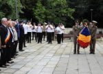 coroane ștefan (4)